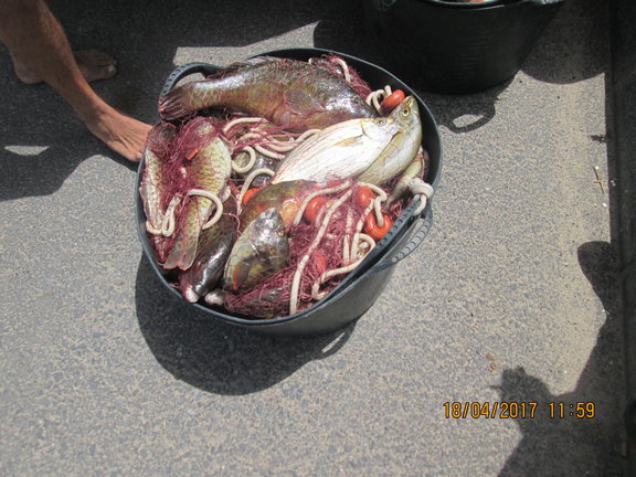 Pescado aprehendido en Famara