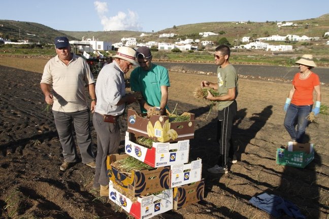 Agricultores de Lanzarote