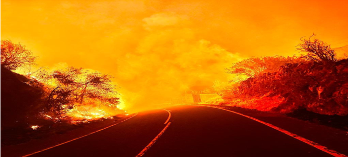 Incendios forestales en Tenerife