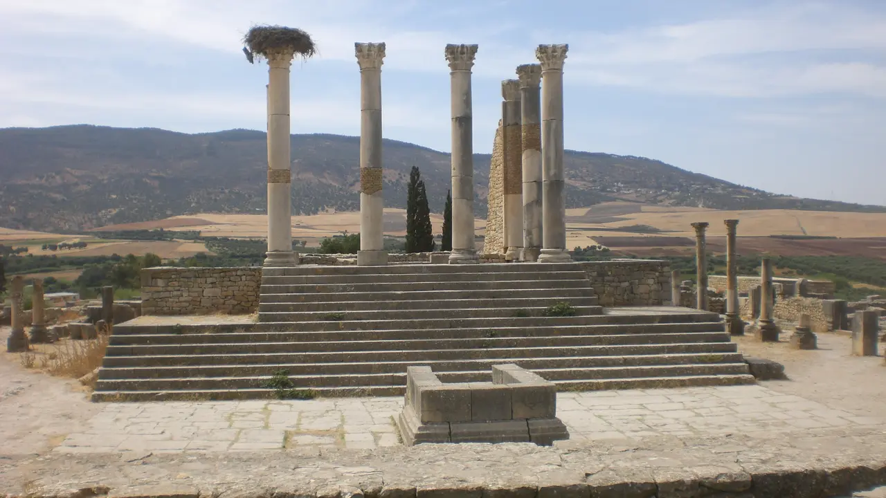 Volubilis 3