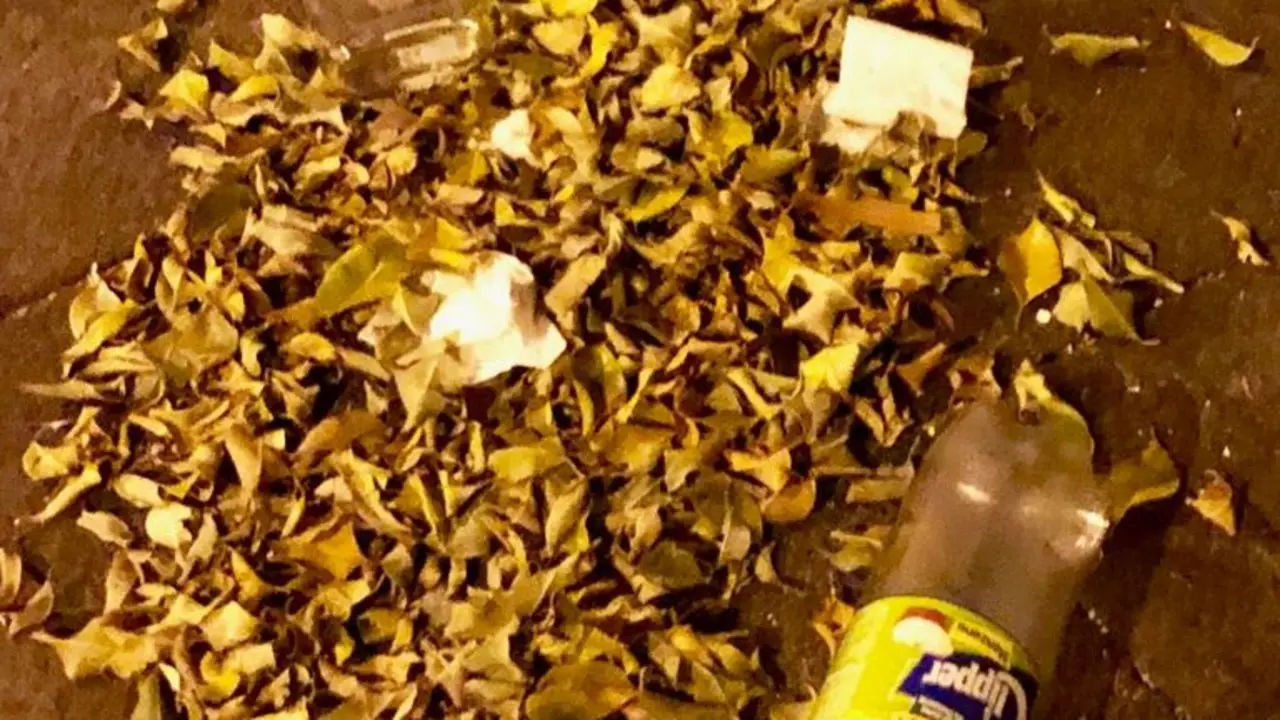 Basura arrojada en El Aguaresío