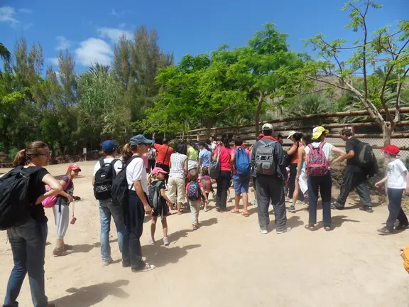 110 vecinos de San Bartolomé en el Día de la Familia