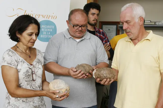 Responsables de Patrimonio con los huevos de Ratites