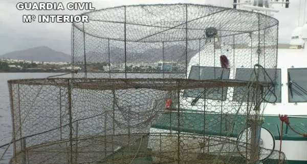 4 nasas ilegales retiradas por la Guardia Civil