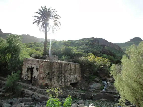 Molino El Samarín y el precioso géiser de agua más alto que la palmera cercana, a sólo 50 metros de la granja