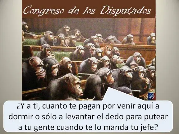 vagos