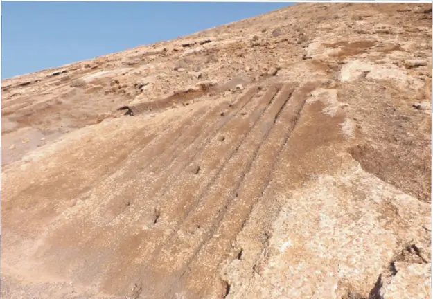 Paneles arqueologicos Monta&ntilde;a Blanca