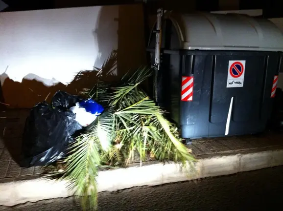 Más basura en la calle César Manrique