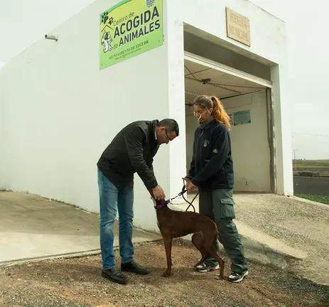 Centro Acogida Animales_1 (Copy)