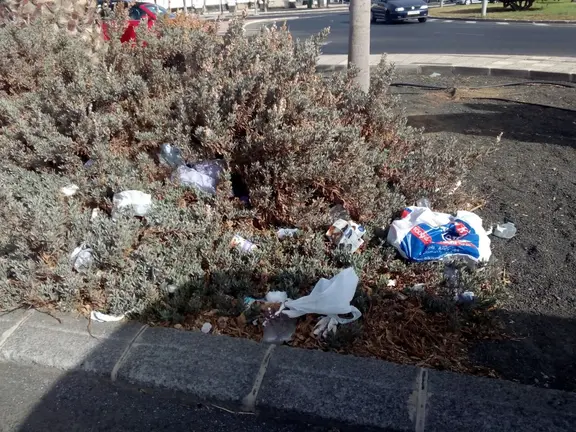 La basura se acumula en el parque 3