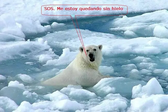 Me estoy quedando sin hielo.