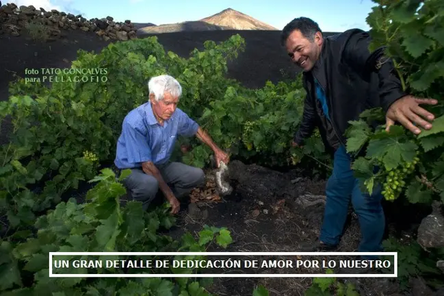 El amor por lo nuestro