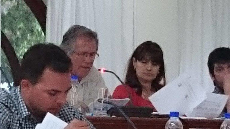 Andrés Medina defendiendo los Sistemas Generales en el Pleno