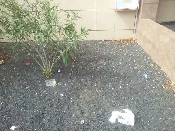 Basura en el Teatro Insular 3