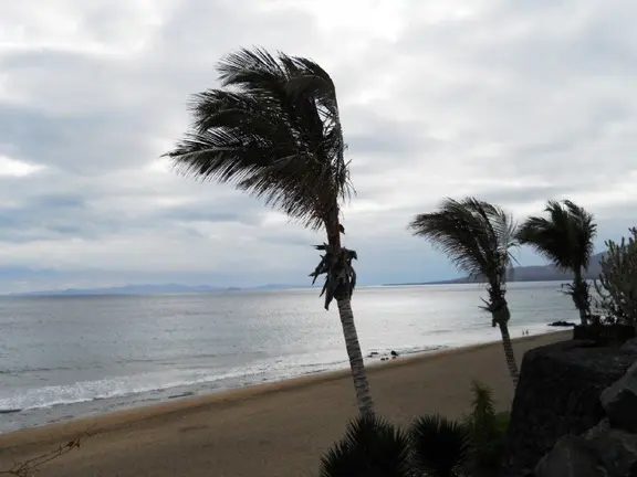 Fuerte viento