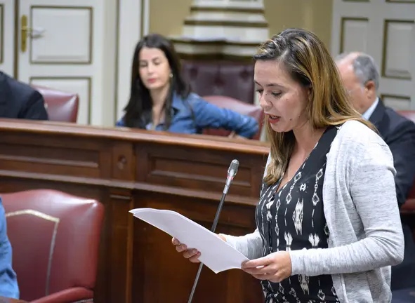 Loli Corujo en el Parlamento