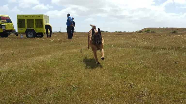 Unidad Canina de EMERLAN