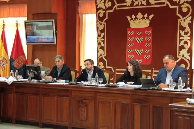 Pleno ordinario del Cabildo (13)