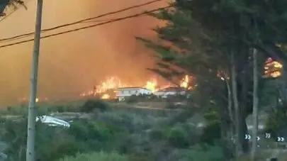 Incendio en la Cumbre de Gran Canaria 3