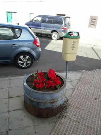 Maceteros con flores de pascua