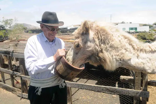 JUAN BRITO DANDO COMER CAMELLA 1