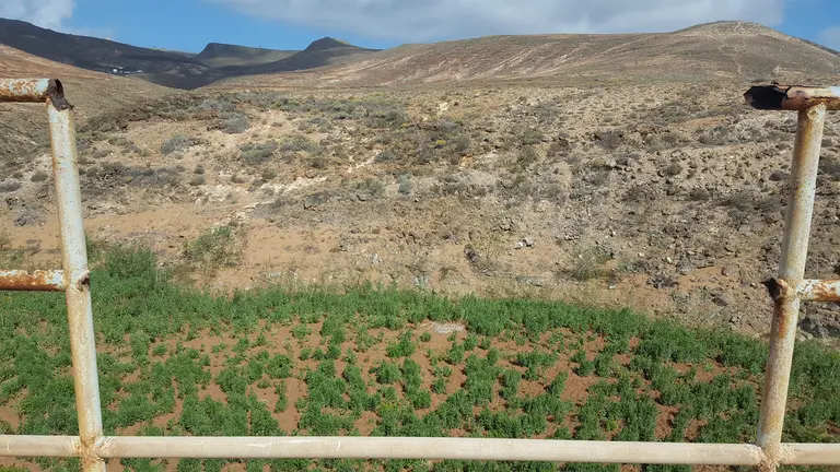 Falta de seguridad en la Presa de Mala 2