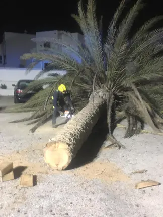 Incidencias del temporal de viento 2