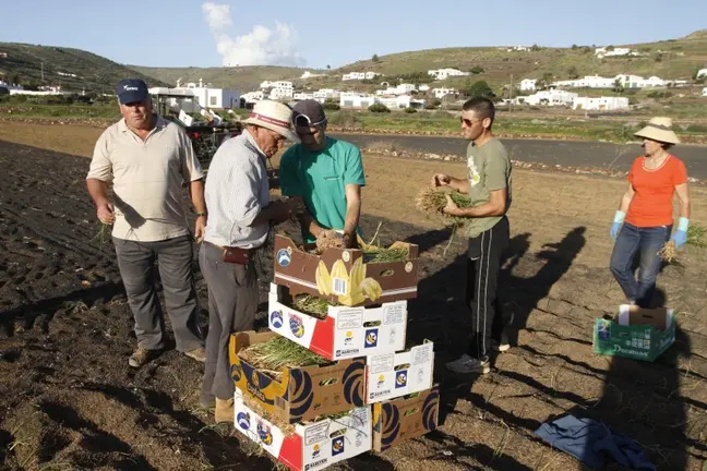 Agricultores de Lanzarote