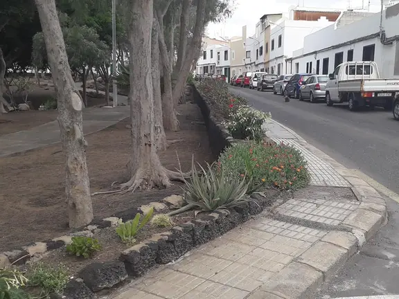 Roban plantas en parterres de Titerroy