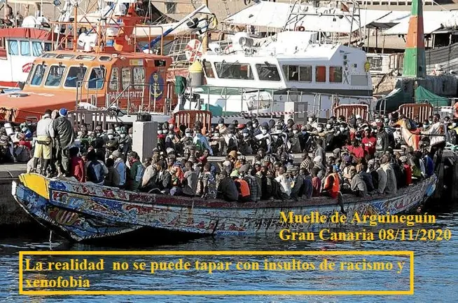 nueva-llegada