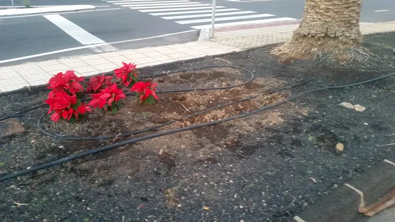 JARDÍN COSTA SIN PASCUAS