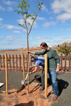 Un árbol por Europa