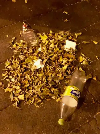 Basura arrojada en El Aguaresío