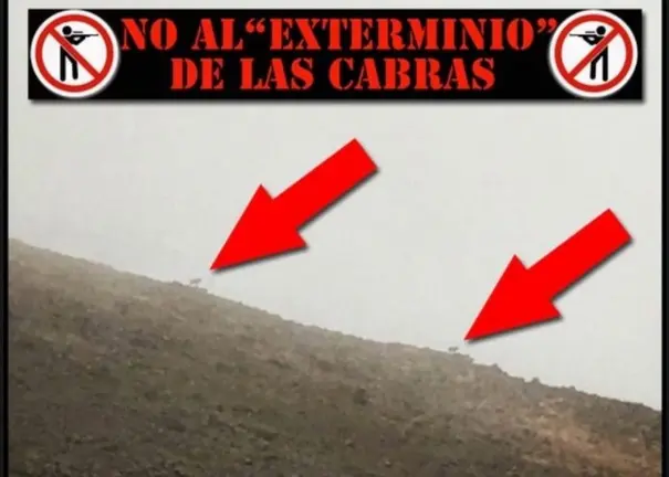 No al exterminio de las cabras