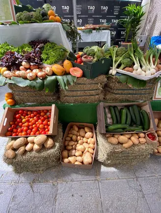 Mercado Urbano Bio