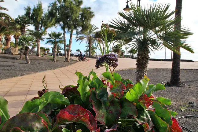 Avenida de las Playas