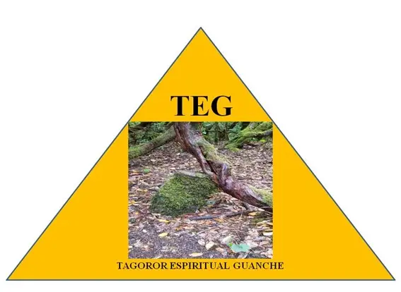 TEG