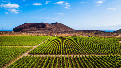 Tierras de cultivo