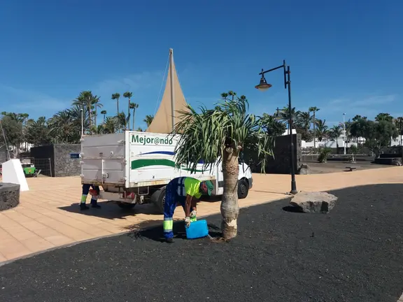 Línea Verde de Tías