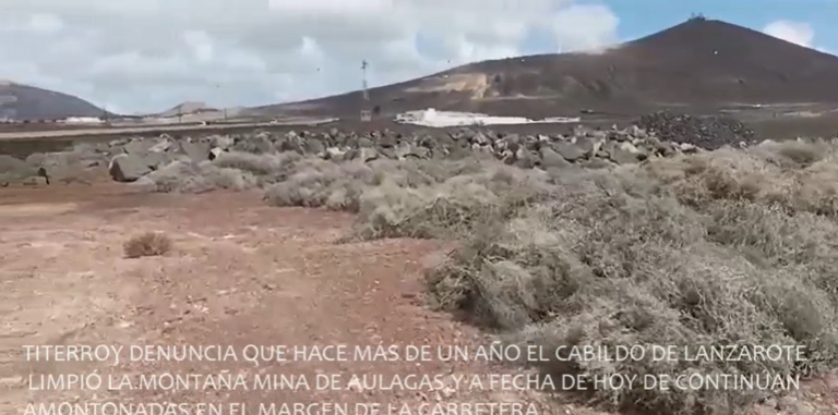 Aulagas amontonadas junto a la carretera 2