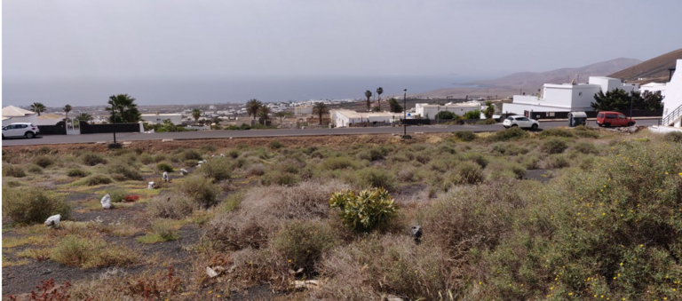 Camino El Callao