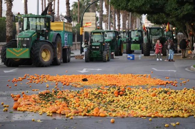 segunda-jornada-protesta-agricultores-Malaga_1873622772_203429241_1024x683