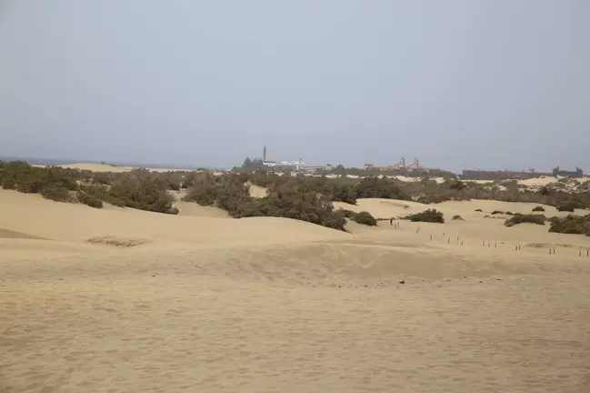 Dunas de Maspalomas 2