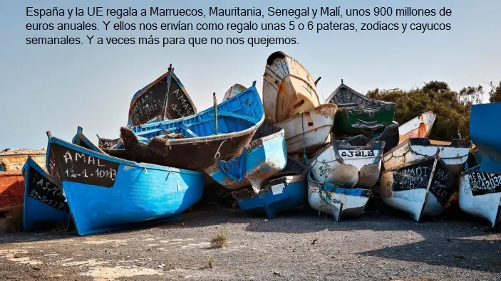 asps1.jpg regalo