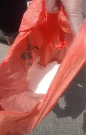 Droga intervenida en Playa Blanca 2