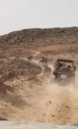 Buggies y quads