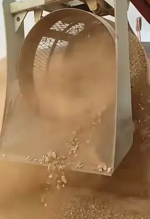Cribado mec&aacute;nico de material arqueol&oacute;gico en Zonzamas 2