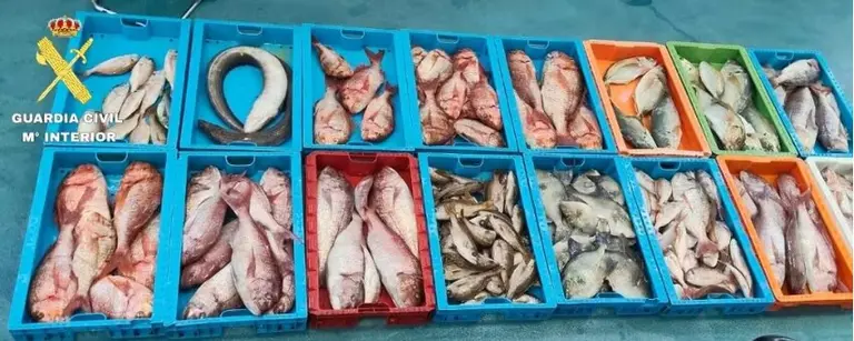 Pescado intervenido en aguas de La Graciosa