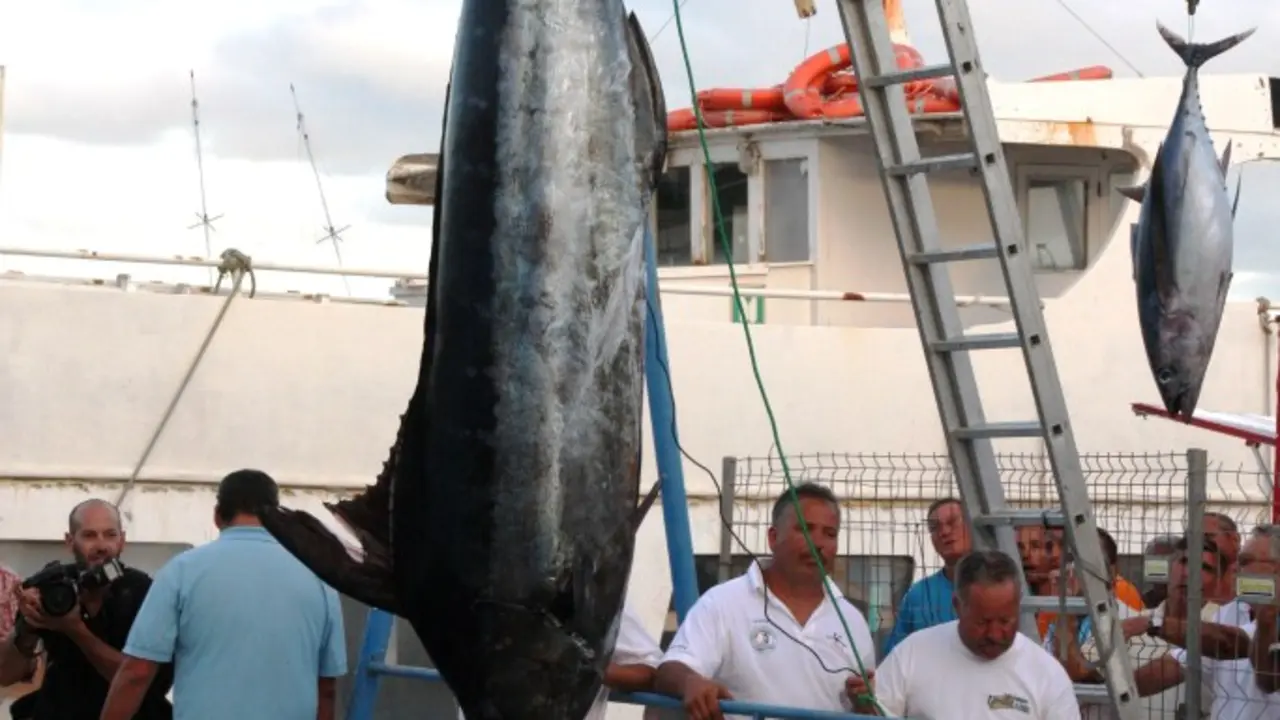 Pesca de Altura