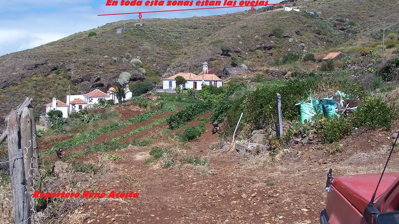 Zona en la que están las ovejas
